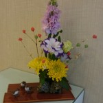 DSC_1528~2